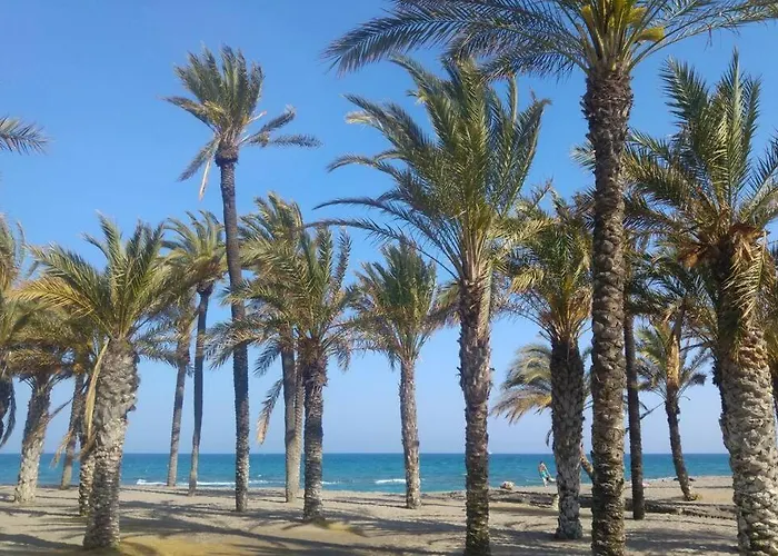 Apartment #409 Near Beaches &free Wifi *